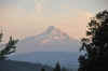 DSC_1077_Large.JPG (67118 bytes)