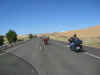 IMG_9197_Large.JPG (64684 bytes)